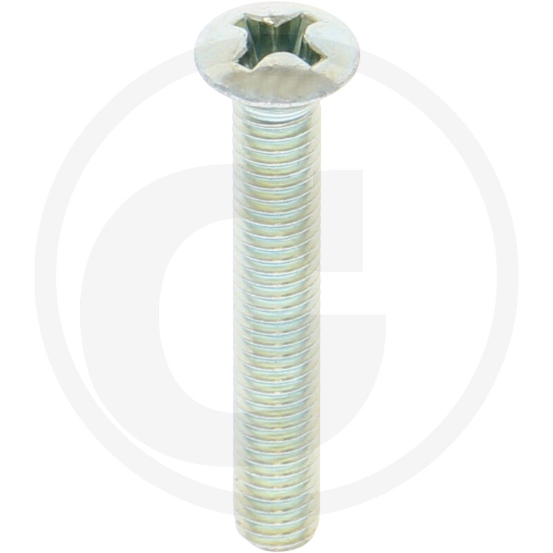 Linsensenkschr.DIN966,VZ,PH3,M06x040,VE1